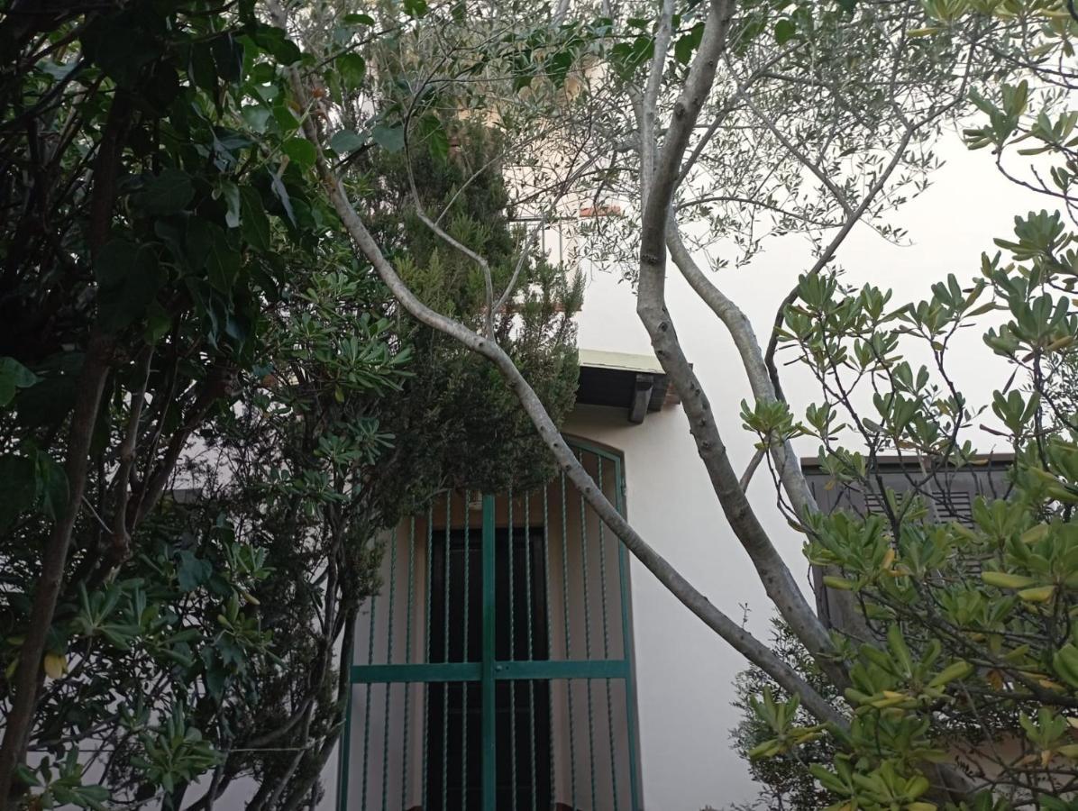 Domus Garden Bed & Breakfast Olbia Eksteriør bilde