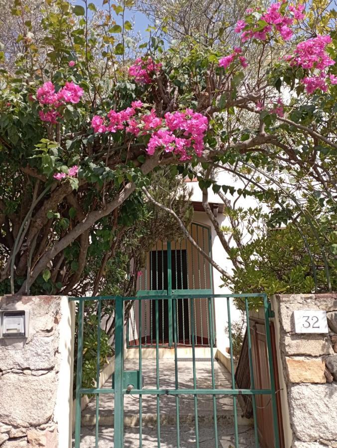 Domus Garden Bed & Breakfast Olbia Eksteriør bilde