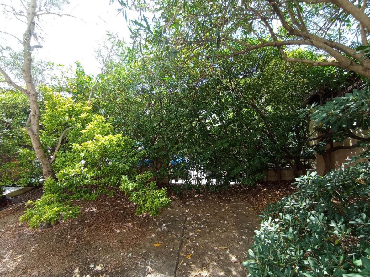 Domus Garden Bed & Breakfast Olbia Eksteriør bilde